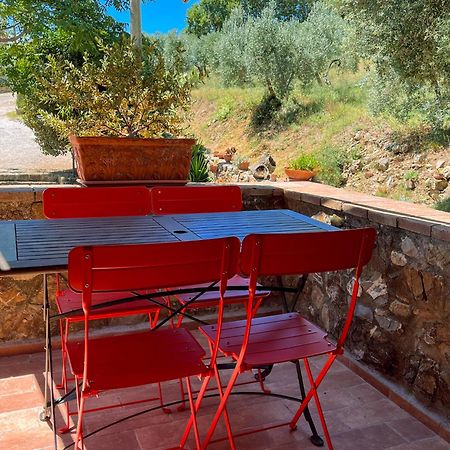 Agriturismo Schiaccia Ghiande Massa Marittima Kültér fotó