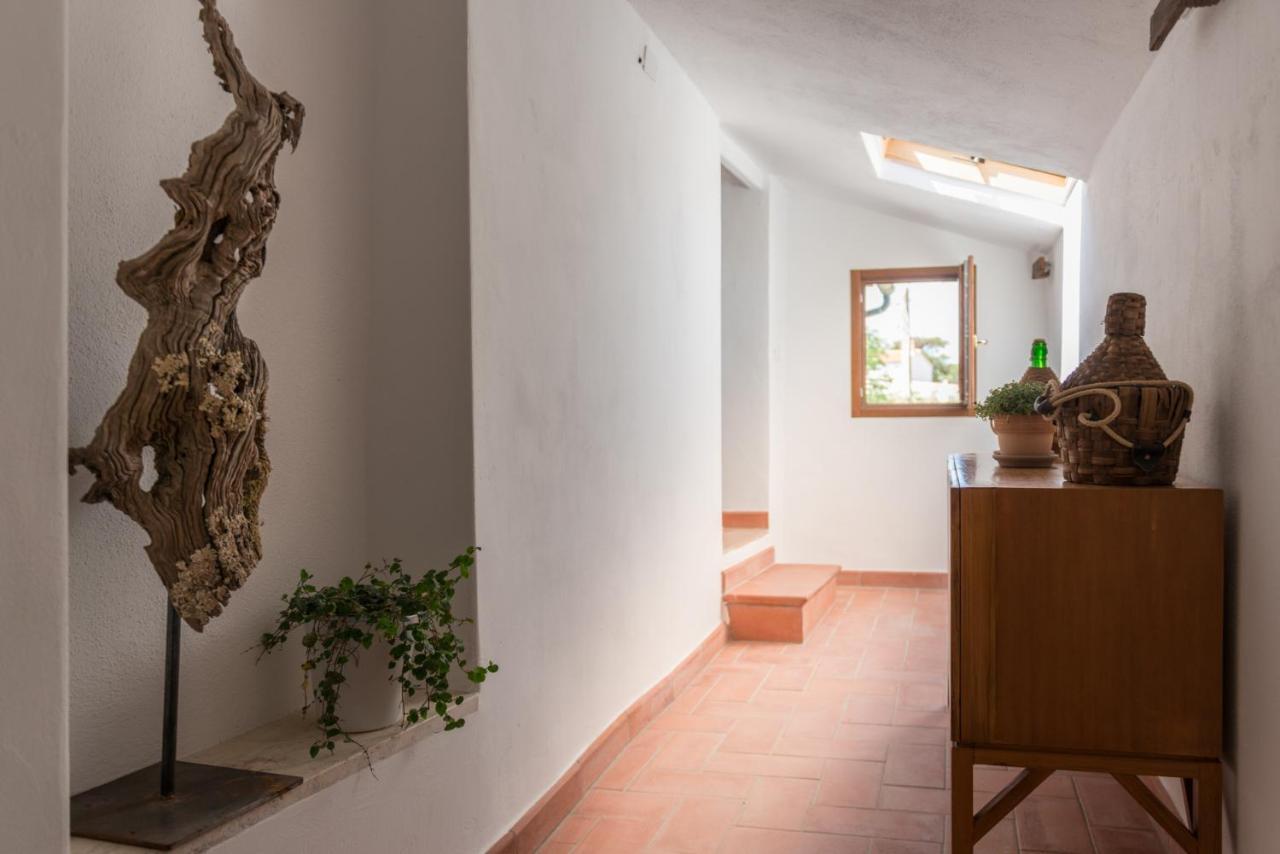 Agriturismo Schiaccia Ghiande Massa Marittima Kültér fotó